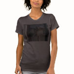altitude and attitdue t-shirts