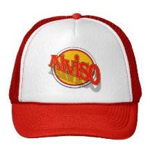 Alviso cap mesh hat