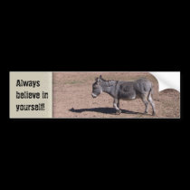 Always believe in yourself bumper stickers