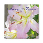 Always & Forever magnet Pastel Pink Lily Flowers