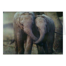 ALWAYS HERE FOR YOU CARD