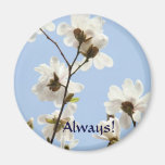 Always! magnet White Magnolia Flowers Springtime