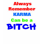 Always Remember, KARMA , Can be a , BITCH t-shirts