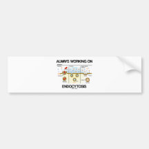 Always Working On Endocytosis (Cellular Eating) Bumper Sticker