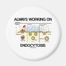 Always Working On Endocytosis (Cellular Eating) Fridge Magnets