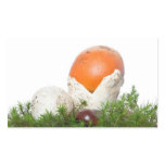 Amanita Caesarea mushroom Sticker
