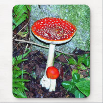 Amanita Muscaria Mousemat mousepads