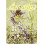 Amarilys photo sculptures