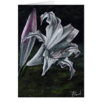 amarygia parkeri greeting cards