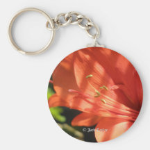 Amaryllis 01 Keychain