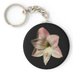 Amaryllis 1 ~ keychain