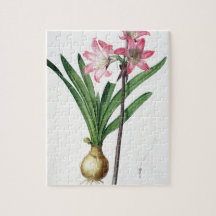 Amaryllis Belladonna, from 'Les Liliacees', engrav Jigsaw Puzzles