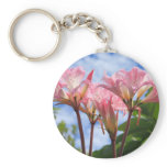 Amaryllis belladonna keychains