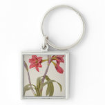 Amaryllis Brasiliensis Key Chains