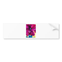 amaryllis bumper stickers
