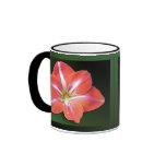 "Amaryllis" - Dark Green Background Lg Mug