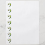 Amaryllis Green Princess Full Colour Flyer