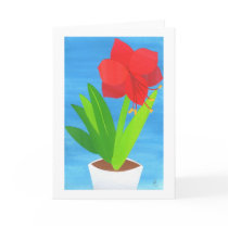 Amaryllis Greetings