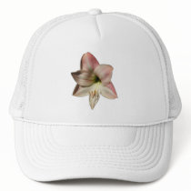 Amaryllis ~ hat