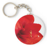 Amaryllis Key Chain