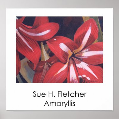 Amaryllis Poster by SueFletcher