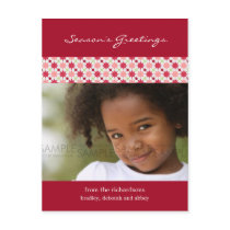 Amaryllis Stars :: Christmas Photo Postcard