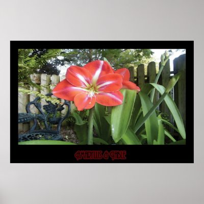 "Amaryllis & Table" - Print (No Shadow) by wearartware
