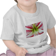 Amaryllis Up Close & Personal Tees