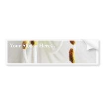 Amaryllis White Flower Close Up Bumper Sticker