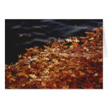 Amass Greeting Card