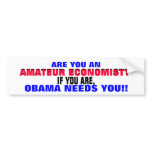 AMATEUR ECONOMIST??  IF SO, ..OBAMA NEEDS YOU!