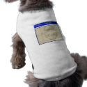Amateur Leprechaun Sketch pet clothing