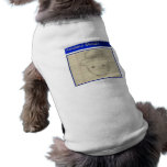 Amateur Leprechaun Sketch pet clothing