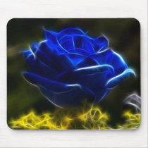 Amazing And Unique Blue Rose