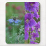 Amazing Annuals Mouse Pad