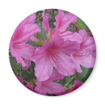 Amazing Azaleas Refrigerator Magnets