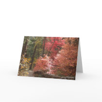 Amazing Grace (3) Greeting Cards