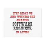 Amazing Software Engineer In Action