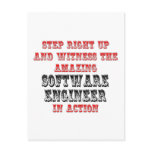 Amazing Software Engineer In Action