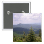 Amazing Views Pinback Buttons