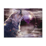 Amazing Wolf Song Postcard