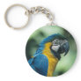Amazon animal keychaine