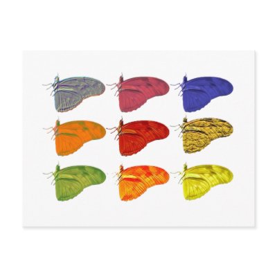 Amazon Coloured Butterfly Postcard by MMednikow