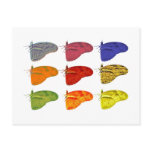 Amazon Coloured Butterfly Postcard