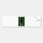 AMAZON DREAM BUMPER STICKER
