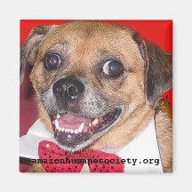 Amazon Humane Society Magnet: Precious Dog Series