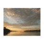 Amazon Humane Society Postcard: Beautiful Amazon S