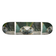 Amazon Milk Frog  Skateboard
