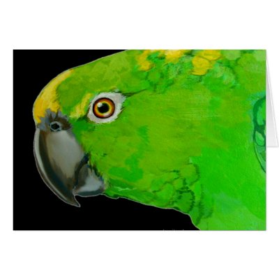 Amazon Parrot Card by pawtraitart