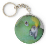 Amazon Parrot Keychain